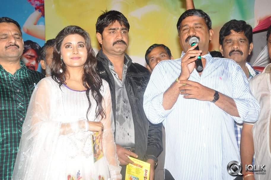 Malligadu-Marriage-Bureau-Audio-Release